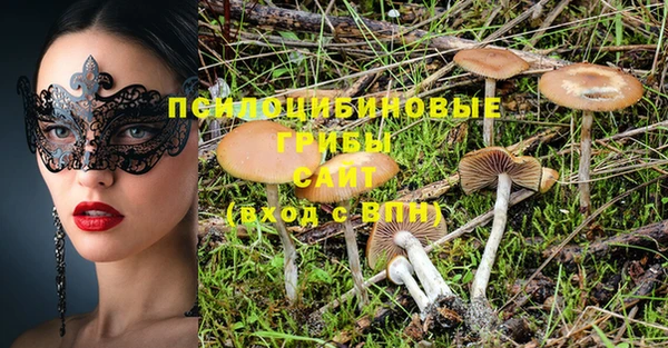 индика Армянск