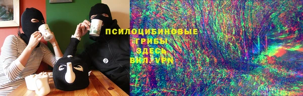 бошки Аркадак