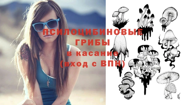 индика Армянск