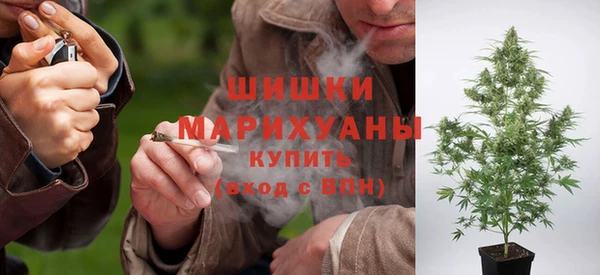 бошки Аркадак