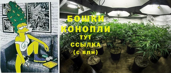 индика Армянск