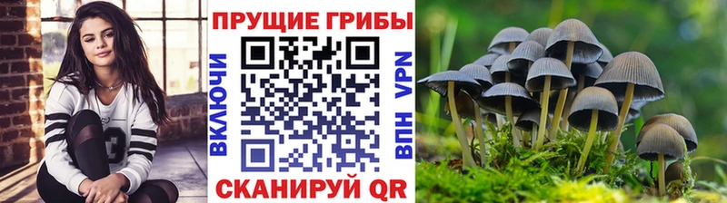 закладка  Северо-Курильск  Псилоцибиновые грибы мицелий 