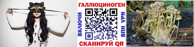 Галлюциногенные грибы мицелий Северо-Курильск